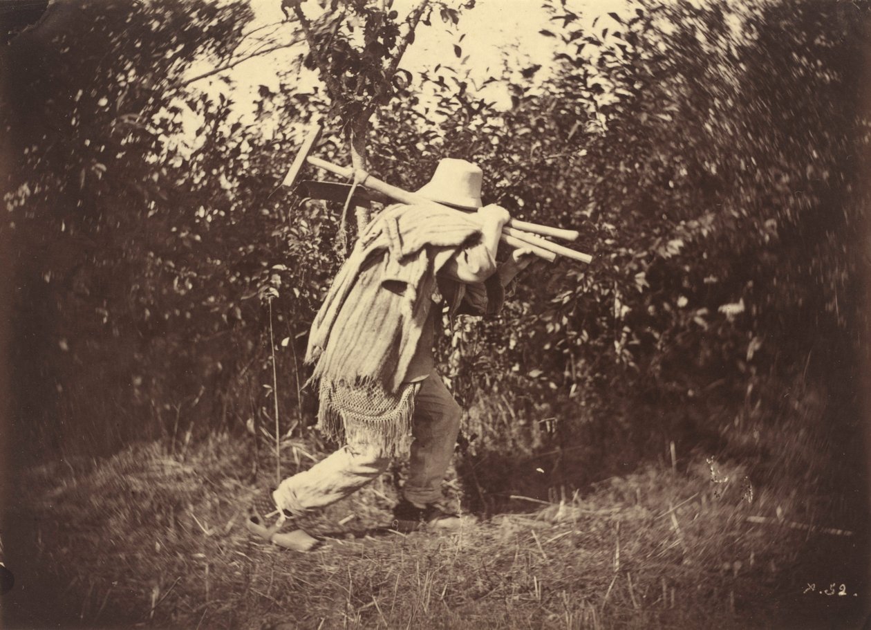 Peasant,c. 1870 (foto) od Auguste Giraudon