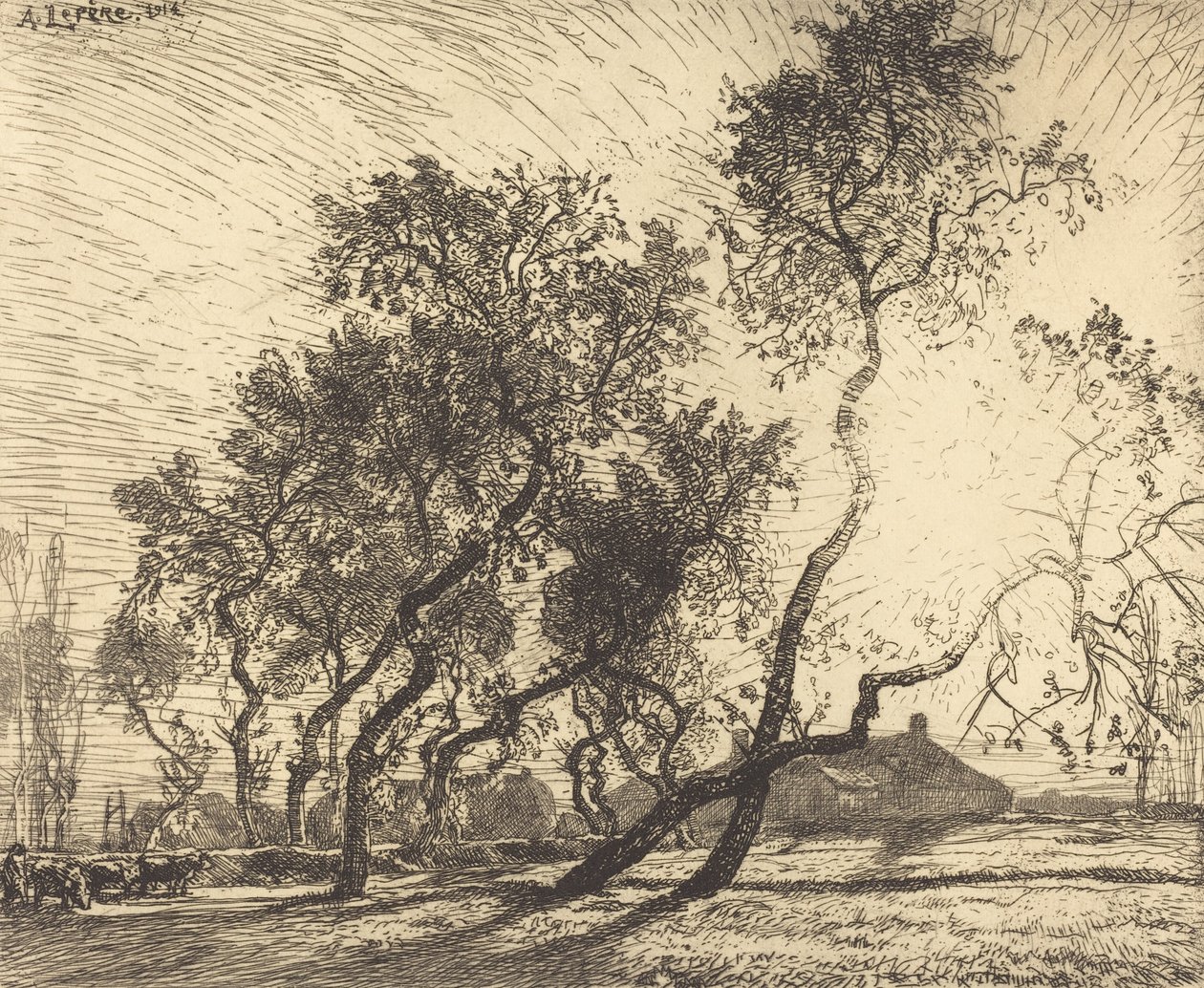 Holandská topolová farma, 1914. od Auguste Lepere