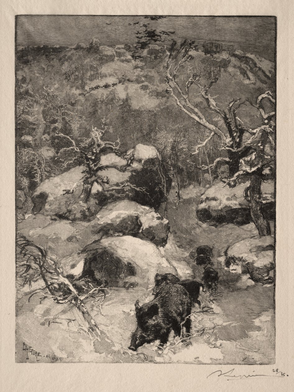 Roche Cuvier Chatillon od Auguste Louis Lepère