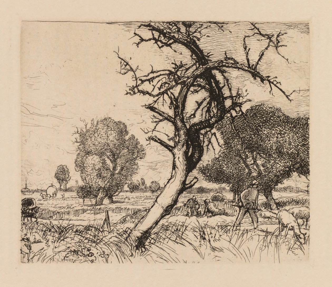 Auguste Lepère: Mrtvá jabloň Pikardie, 1913. od Auguste Louis Lepère