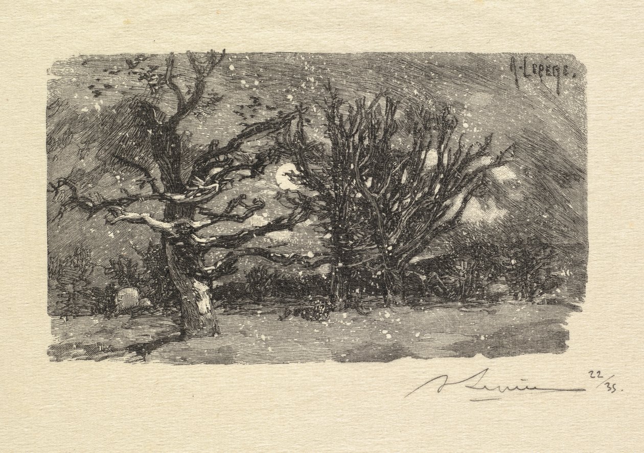 Fontainebleau Forest: Au dormoir de Lantara (La Forêt de Fontainebleau: Au dormoir de Lantara) od Auguste Louis Lepère
