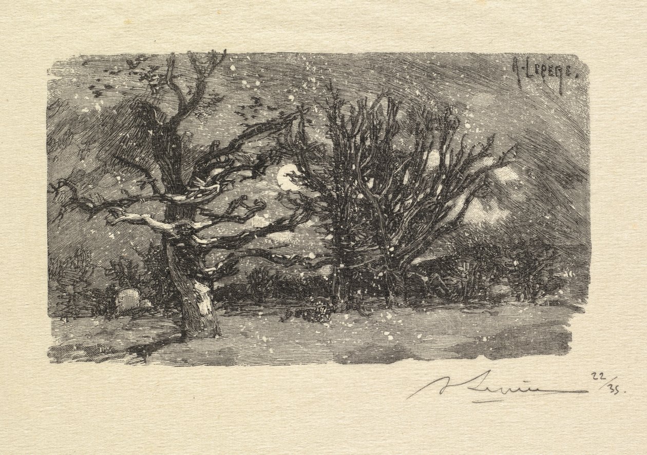 Fontainebleau Forest: Na koleji Lantara La Forêt de Fontainebleau: Na koleji Lantara, 1890 od Auguste Louis Lepère