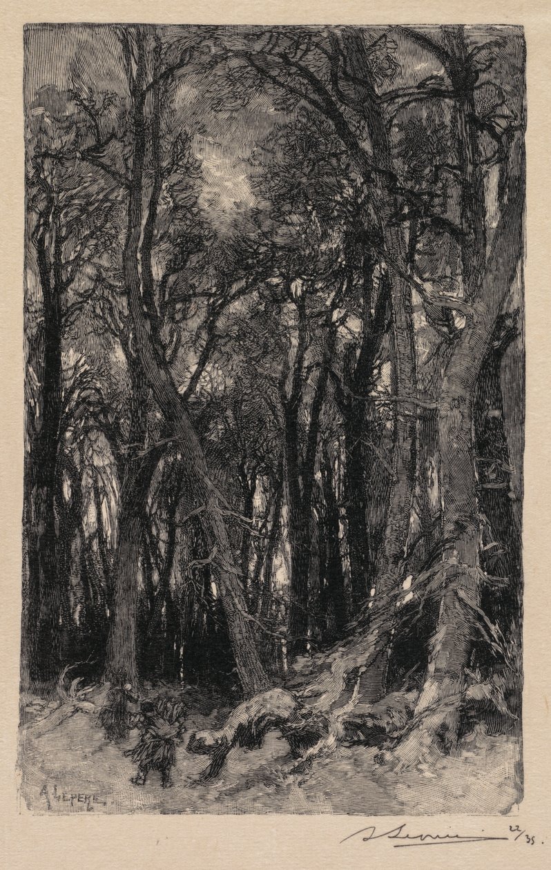 Les Fontainebleau: Bas-Bréau Les Fontainebleau: Le Bas-Bréau, 1890. od Auguste Louis Lepère