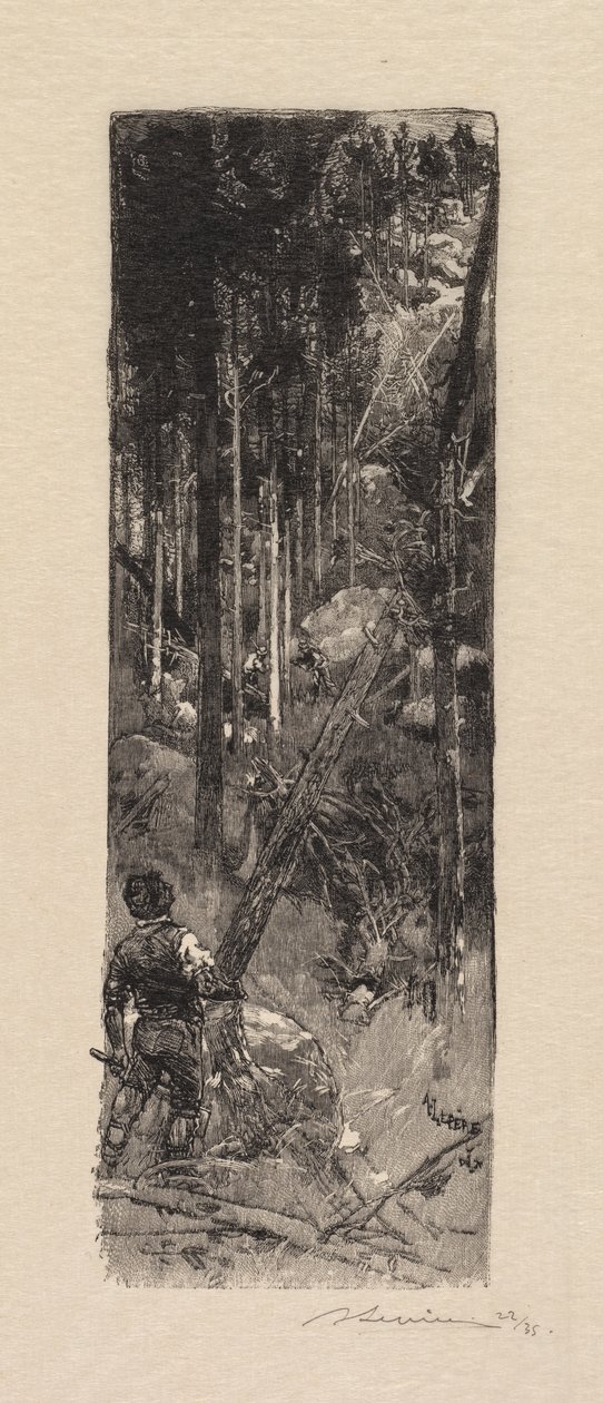 Fontainebleau Forest: Kácení borovic od Auguste Louis Lepère