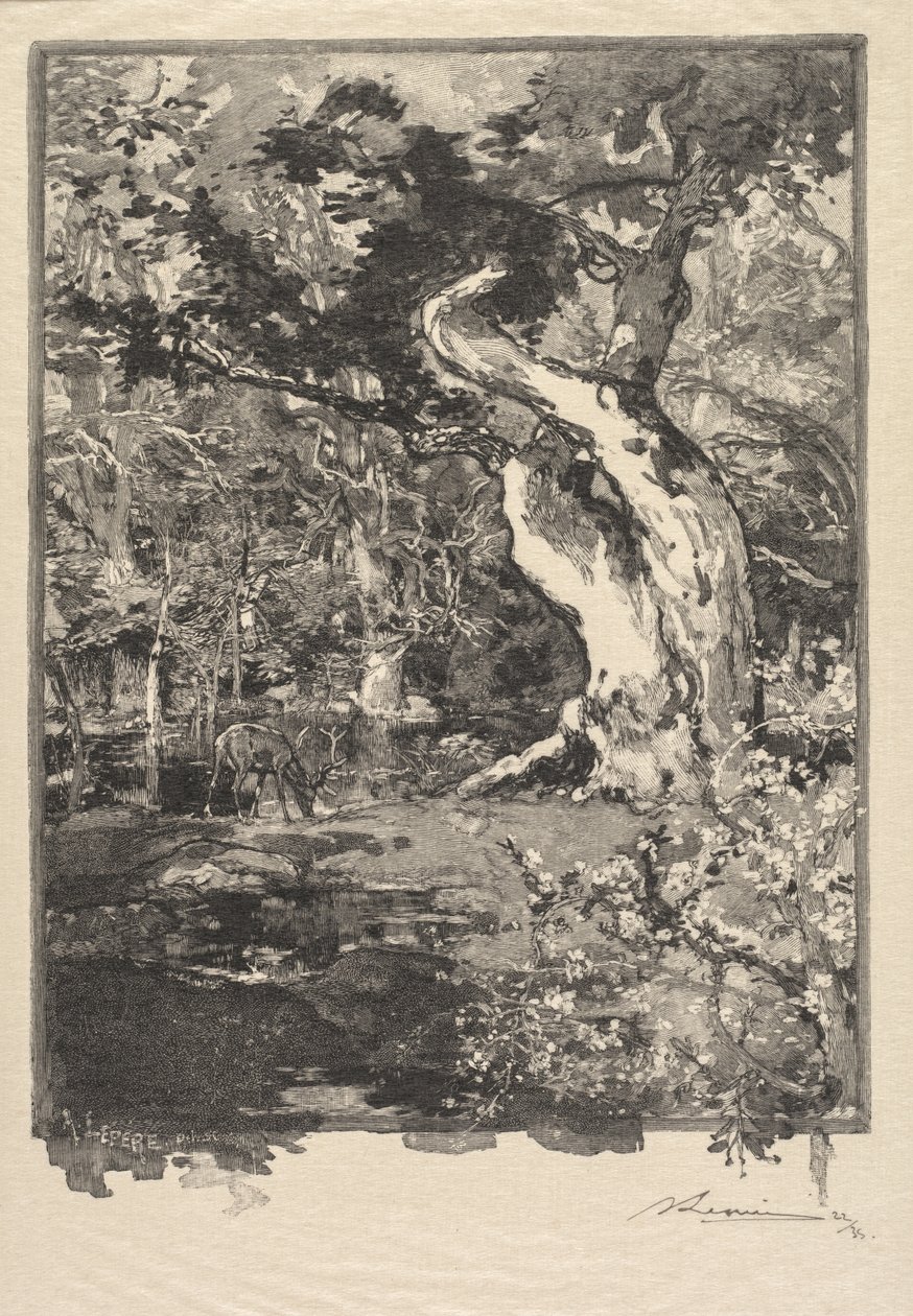 Fontainebleau Forest: Le Clovis, Plateau de Bellecroix La Forêt de Fontainebleau..., 1890. od Auguste Louis Lepère