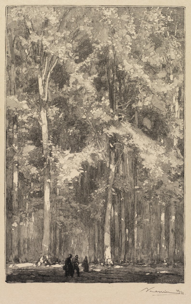 Fontainebleau Forest: Ráno, křižovatka cesty Forts de Marlotte od Auguste Louis Lepère