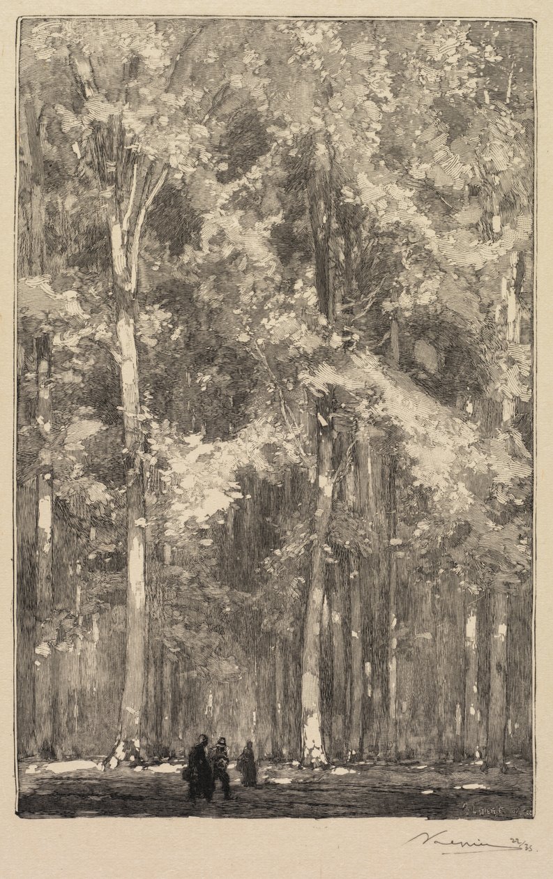 Fontainebleau Forest: Ráno, křižovatka cesty Forts de Marlotte..., 1890. od Auguste Louis Lepère