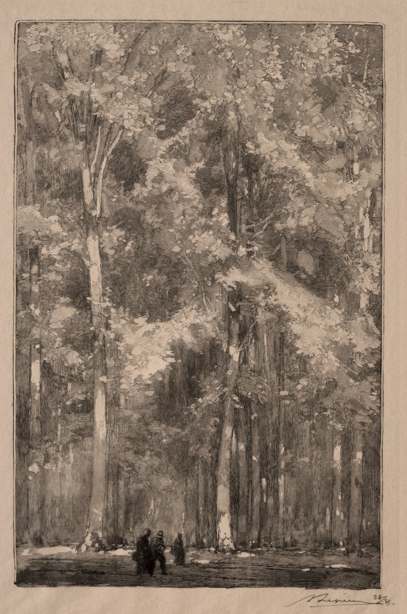 Le Matin, křižovatka Forts Marlotte, 1889. od Auguste Louis Lepère