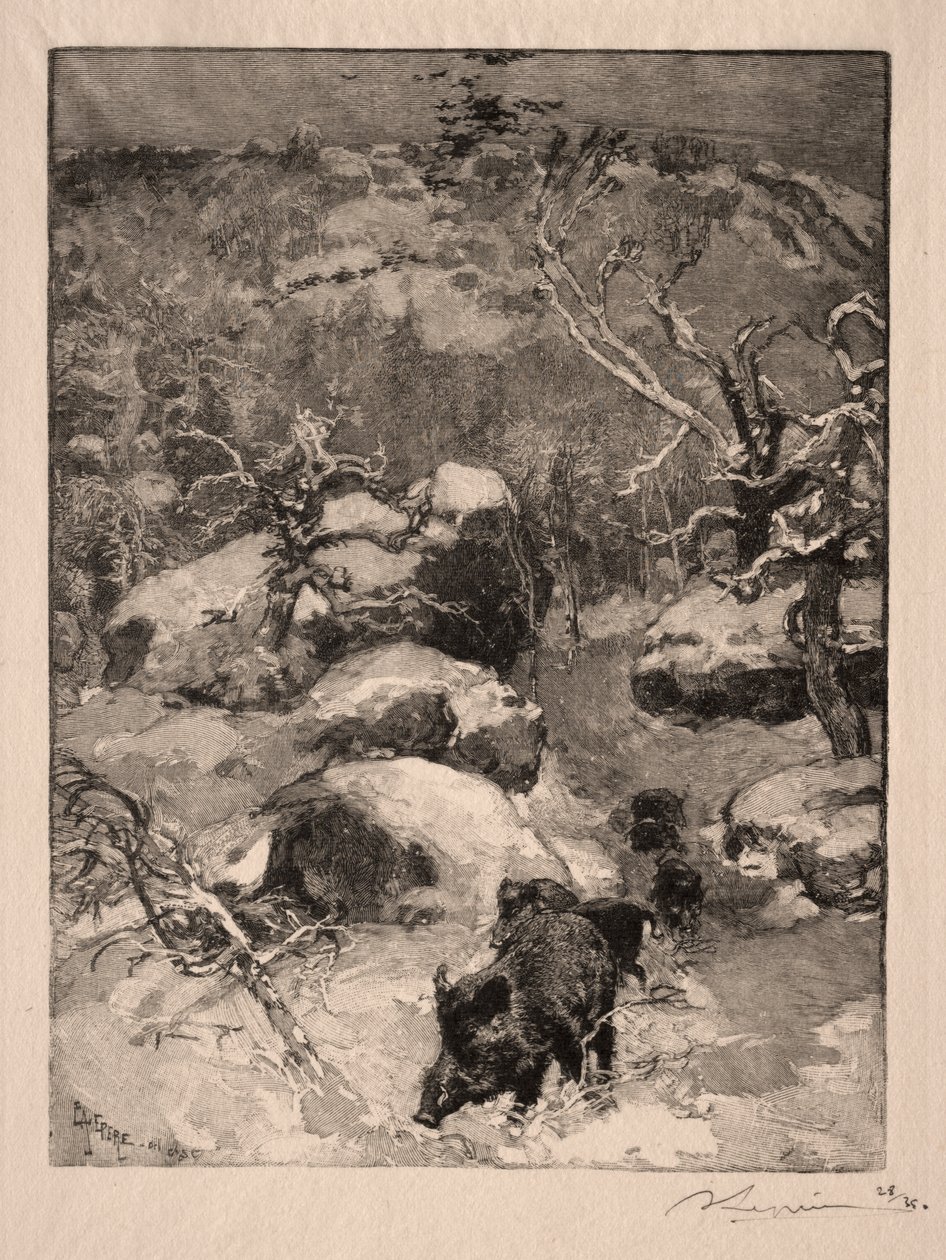 Roche Cuvier Chatillon od Auguste Louis Lepère