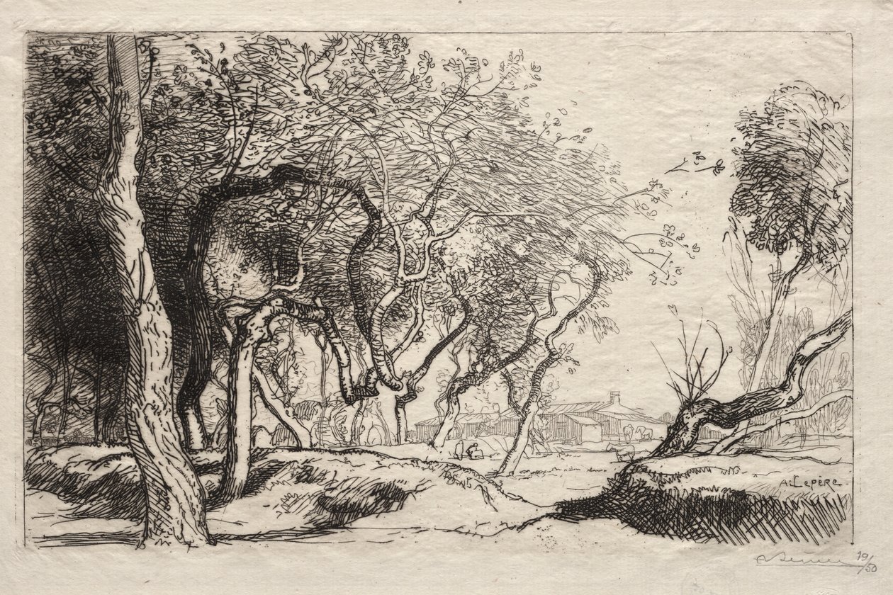 Zkroucený strom od Auguste Louis Lepère