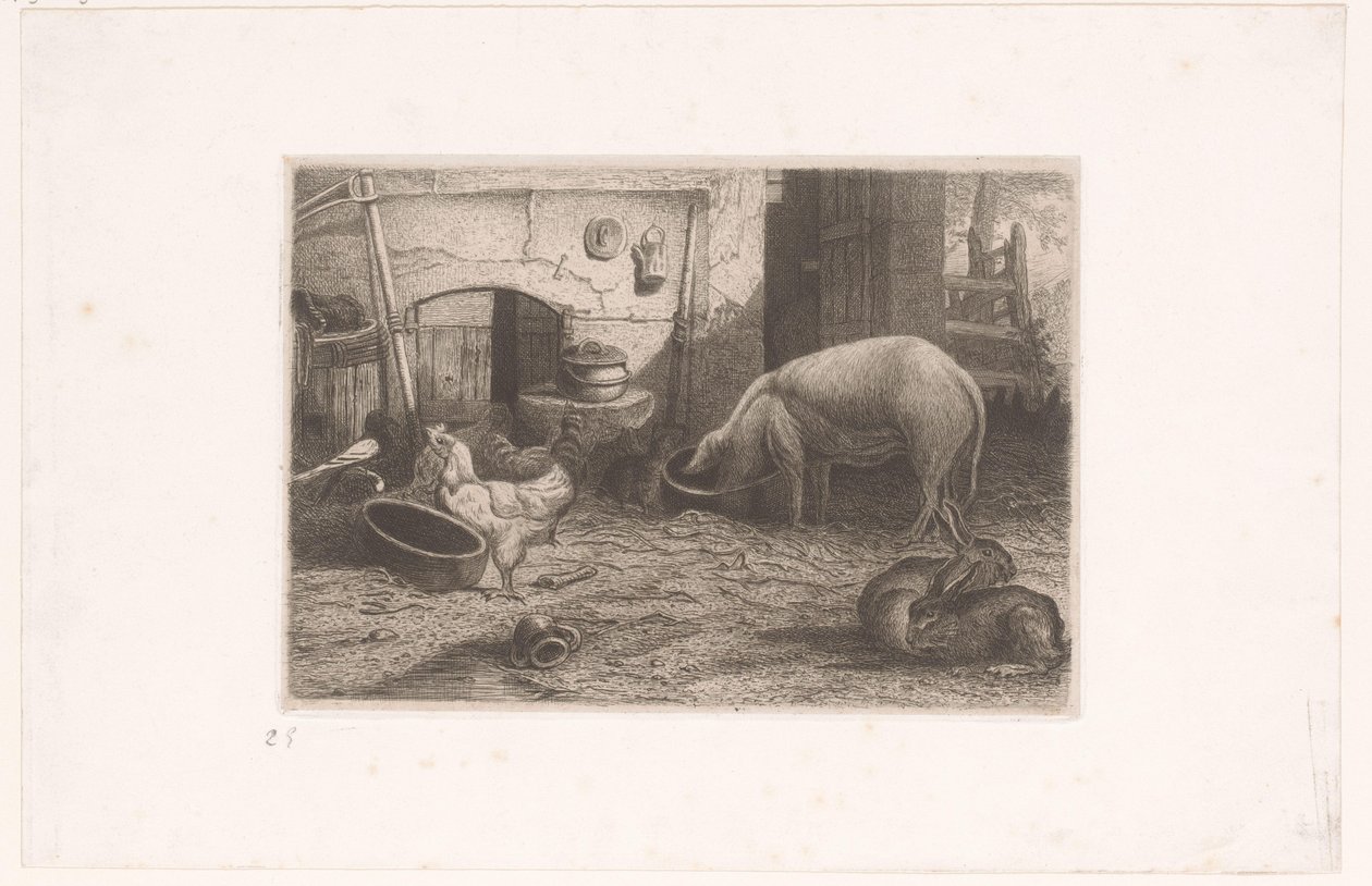 Prase, slepice a králíci ve stodole od Auguste Numans (attributed to)