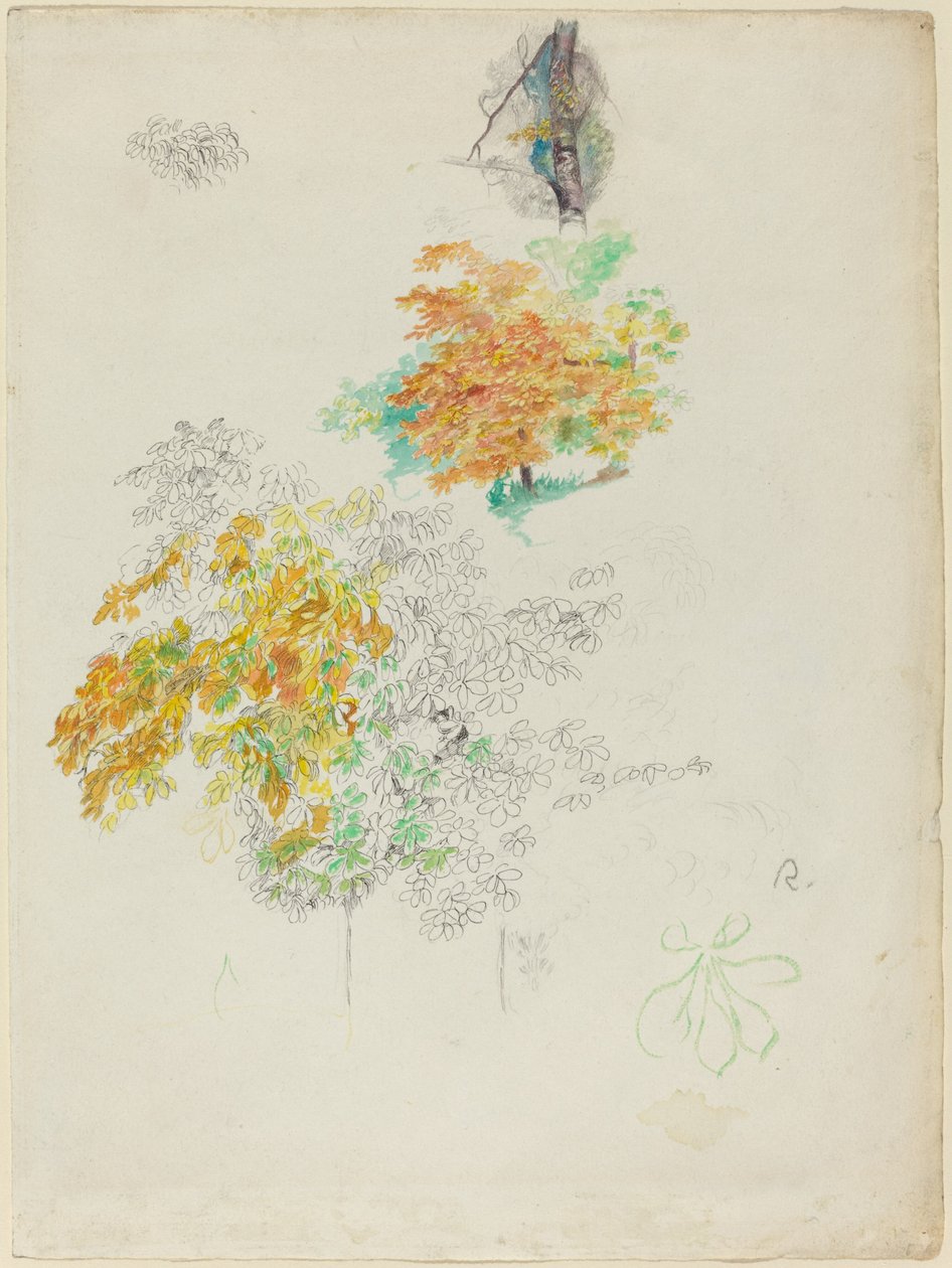 Studies of Trees   1227169   cs       czech Successfully Translated  Original: Shimada, Oigawa Shun-Gan, Banks of the Oi River, ca. 1838., ca. 1838. Translat: Shimada, Oigawa Shun-Gan, Banks of the Oi River, ca. 1838., ca. 1838. 1196474 cs czech Successful od Auguste Renoir