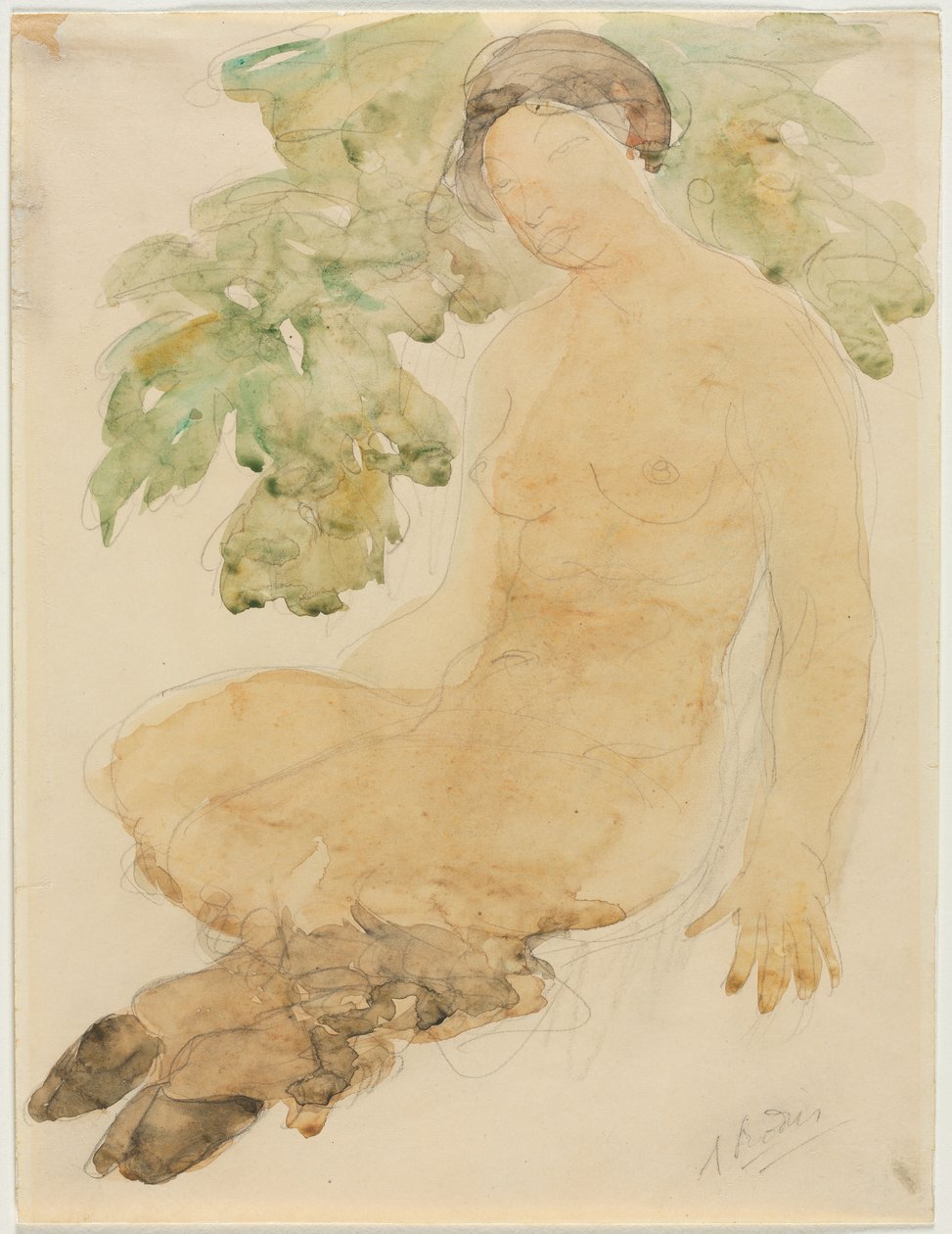 Faunesse, asi 1905 (akvarel nad grafitem) od Auguste Rodin