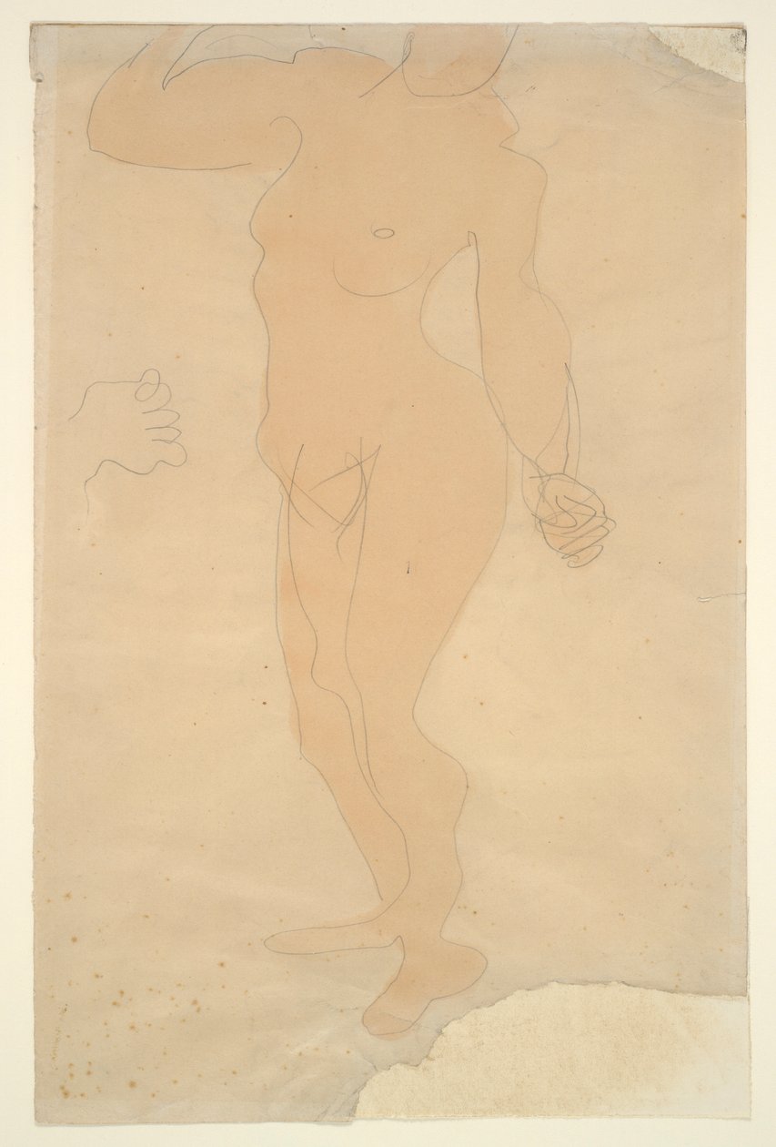 Stojící akt (hlava částečně odříznutá okrajem papíru) od Auguste Rodin