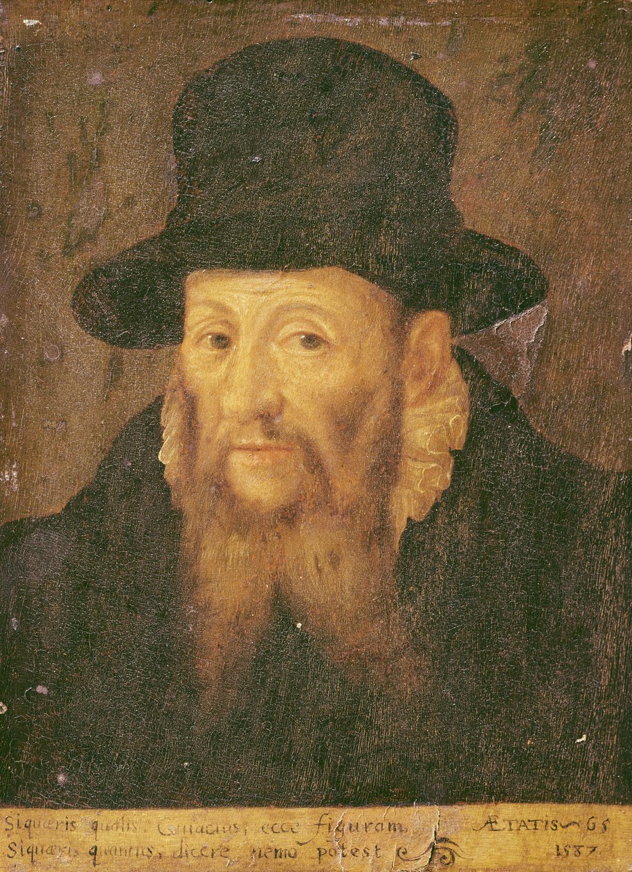Jacques Cujas (1522-90) ve věku 65 let od Augustin II Quesnel