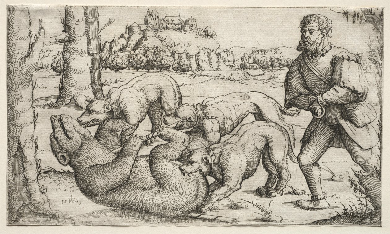 Lov na medvěda, 1569. od Augustin Hirschvogel