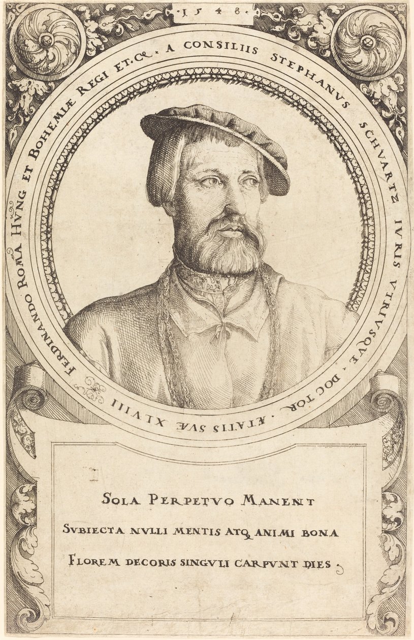 Doktor Stephen Schwartz, 1548. od Augustin Hirschvogel