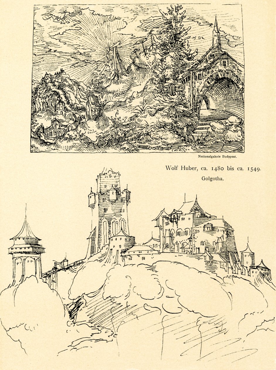 Studium přírody od Augustin Hirschvogel