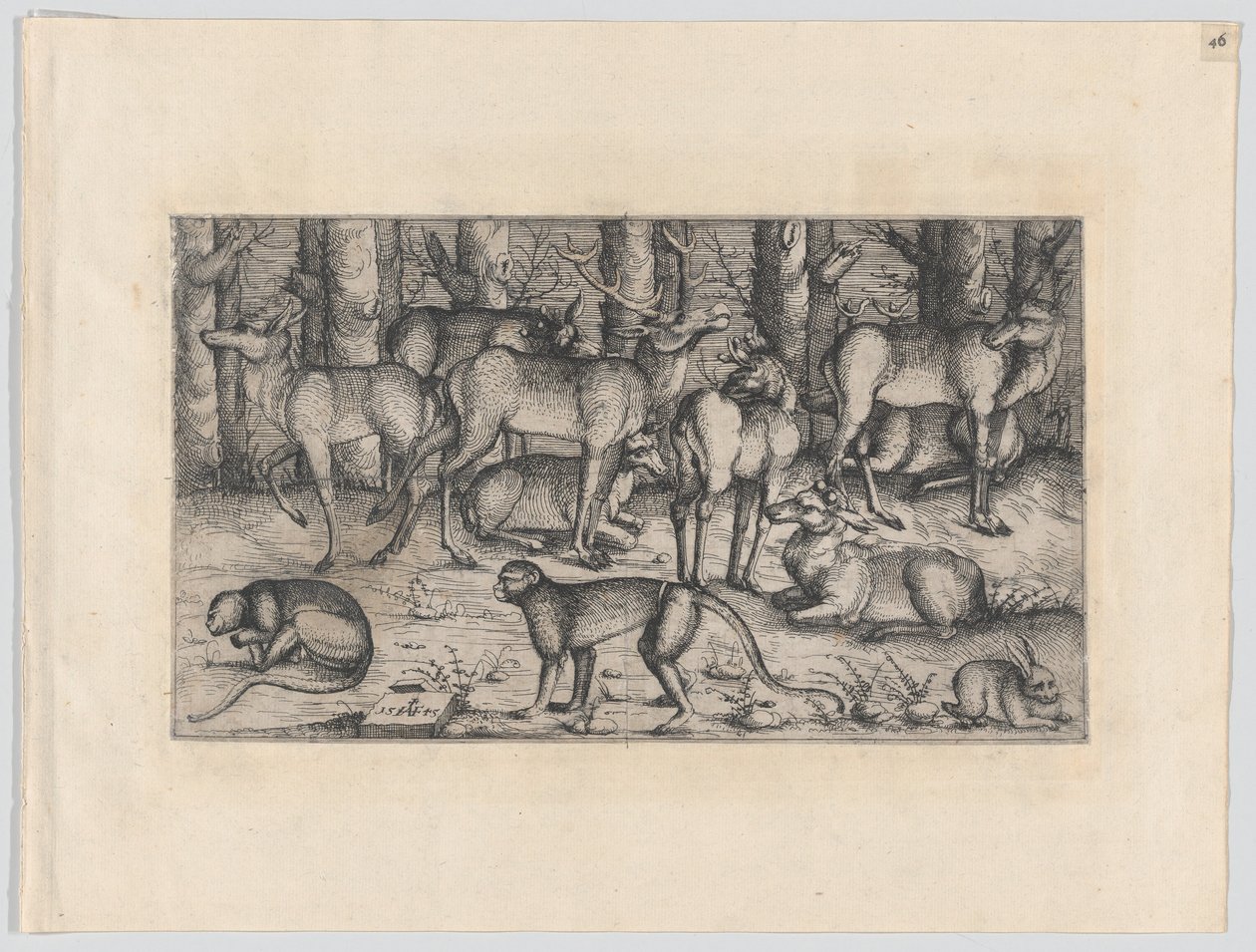 Jeleni v lese, 1545. od Augustin Hirschvogel