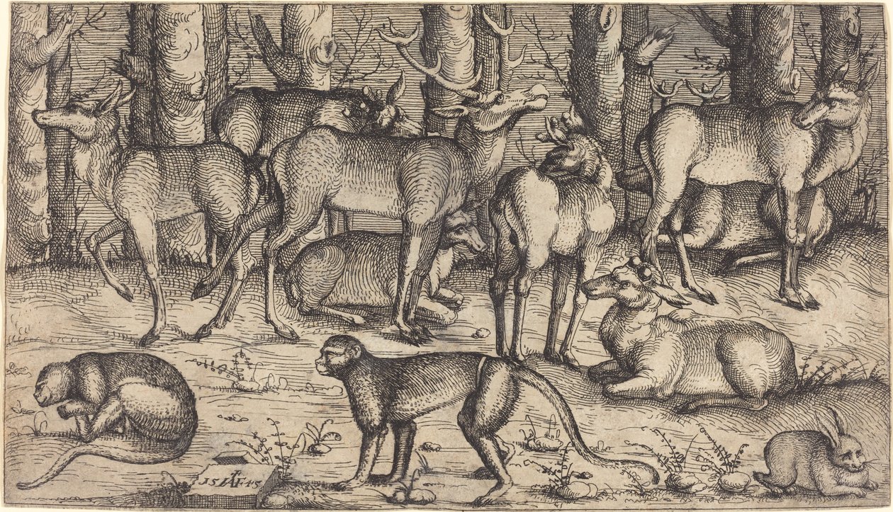 Jeleni v lese, 1545. od Augustin Hirschvogel