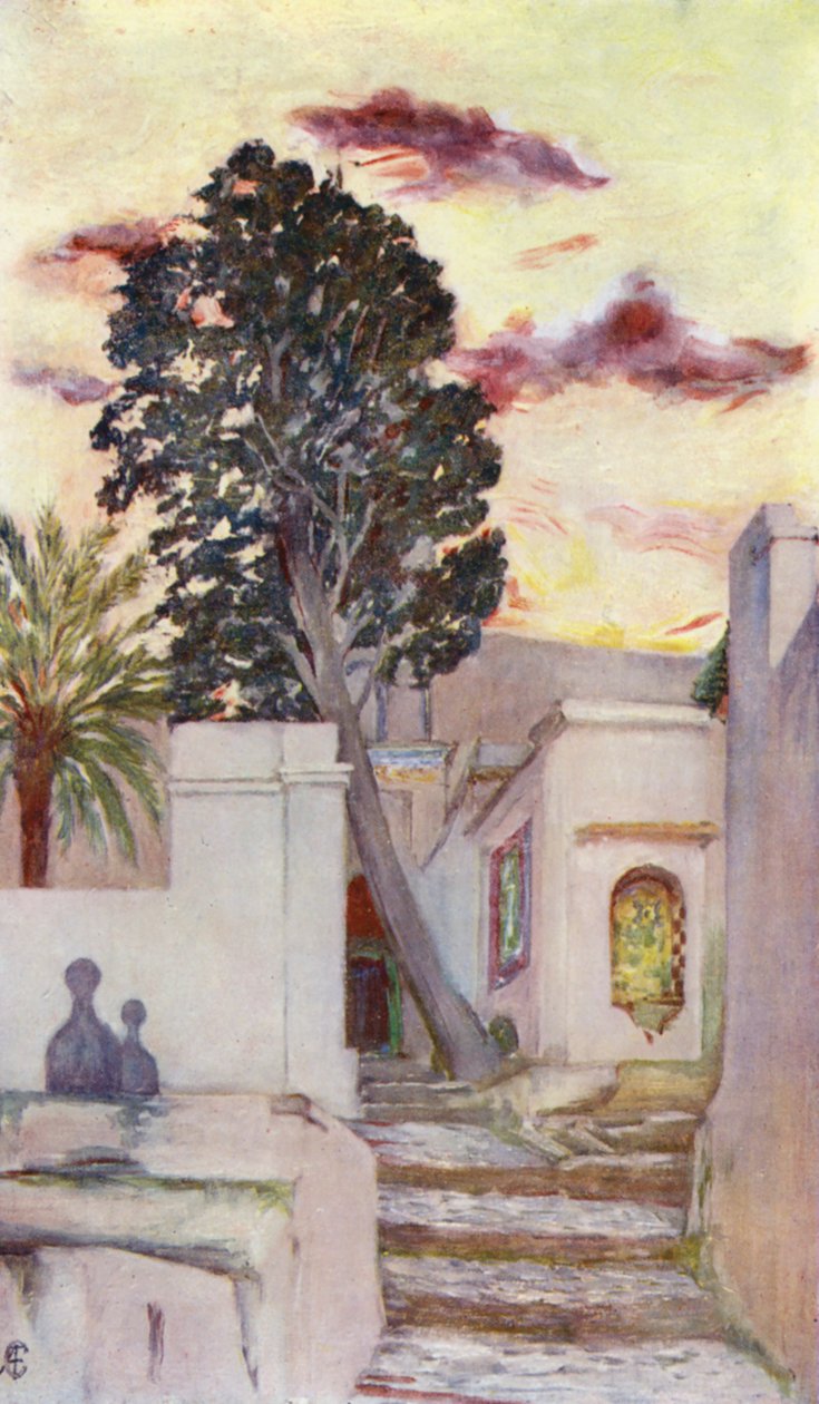 Vchod do mešity Sídí Abd-r-Rahmán (barevná litografie) od Augustine Fitzgerald