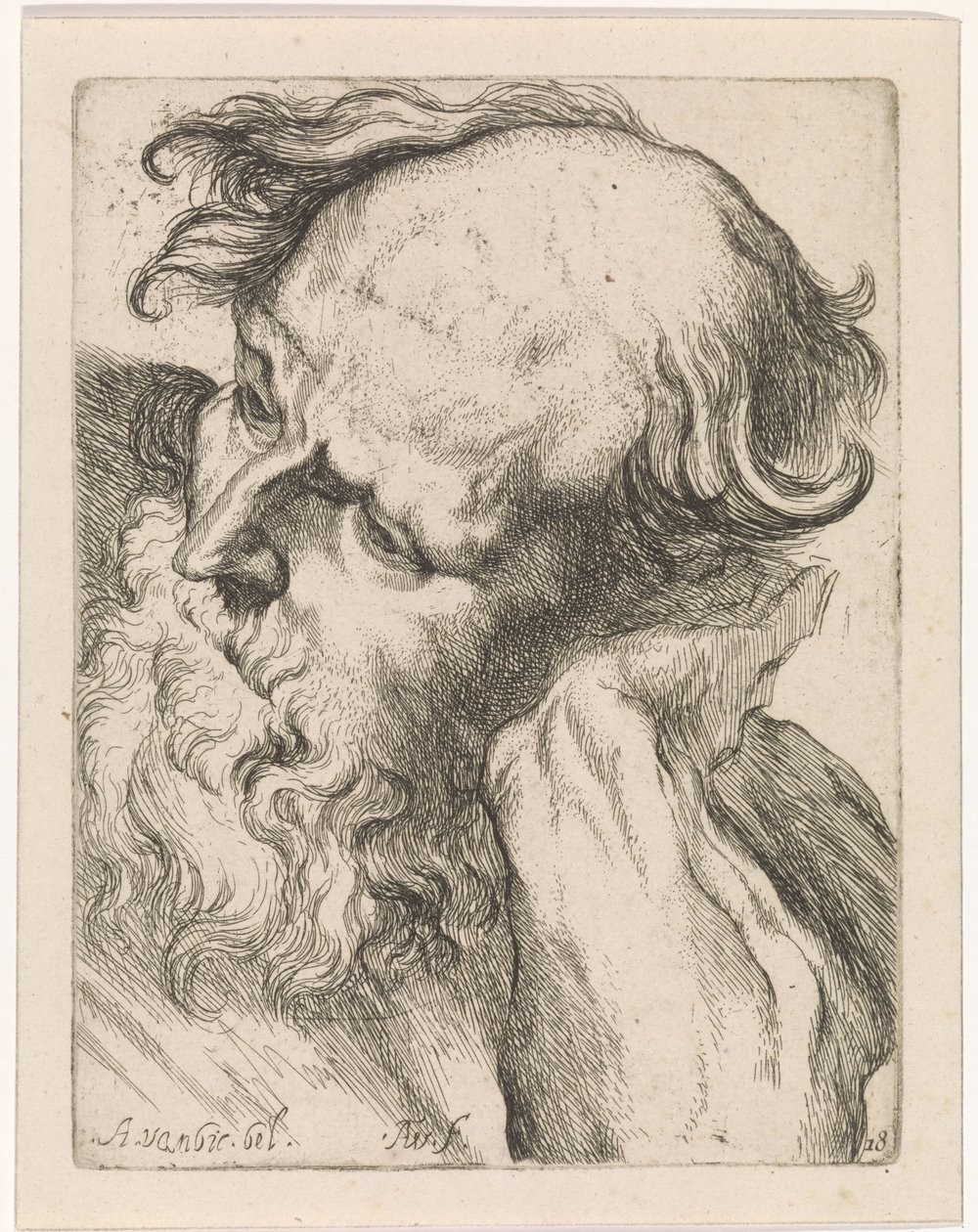 Hlava starého muže (Joseph) Studie pro kreslicí knihu podle klasických soch a postav od Anthonyho van Dycka (název série) od Augustinus Terwesten (I)