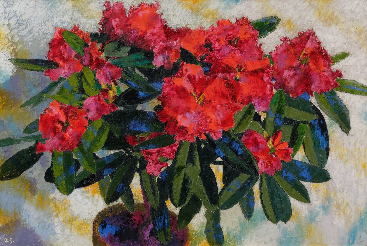 Augusto Giacometti Rhododendron 1938 od Augusto Giacometti