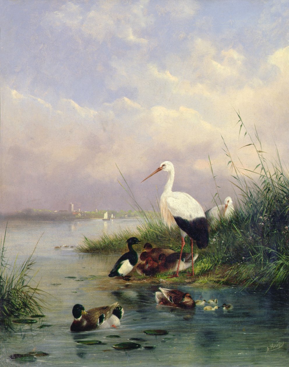 Rodina divokých kachen, dva čápi a rodina chocholatých kachen (pár 77886) od Augustus Knip