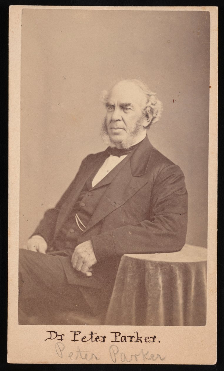 Portrét Petera Parkera 1804-1888, 1869. od Augustus Marshall