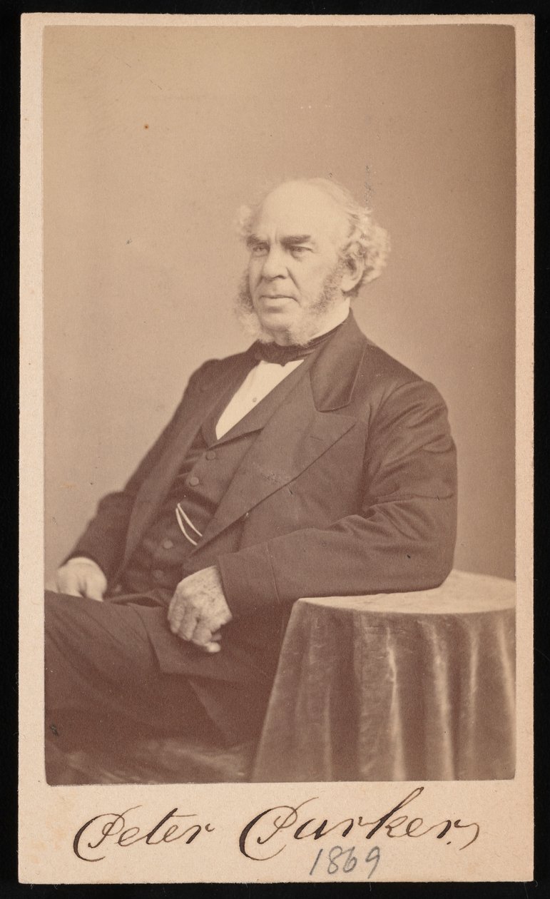 Portrét Petera Parkera 1804-1888, 1869. od Augustus Marshall
