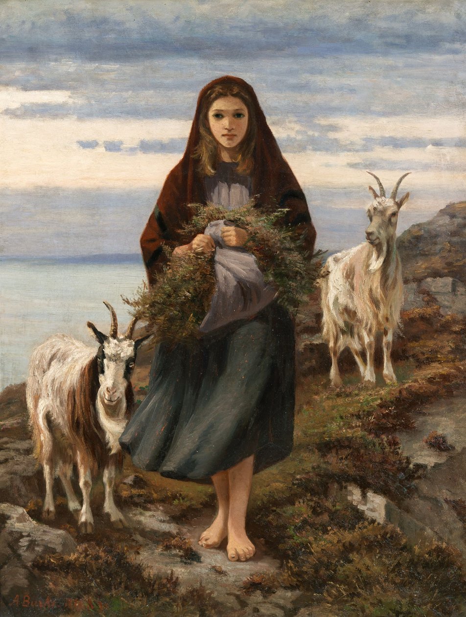 Dívka z Connemary od Augustus Nicholas Burke