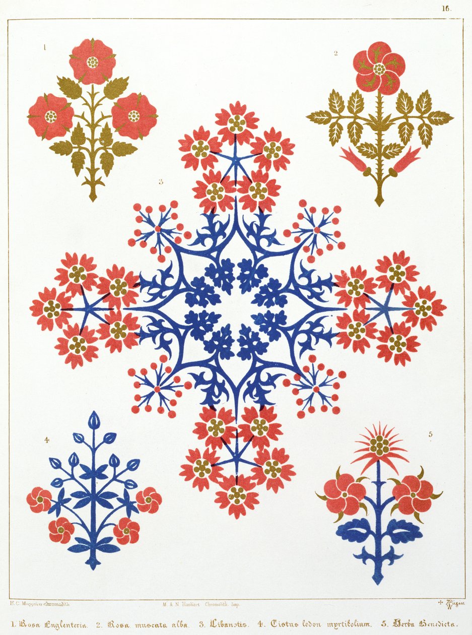 Tapety s motivem violy, kosatce a tulipánu, vytiskl M. und N. Hanhart od Augustus Welby Northmore Pugin