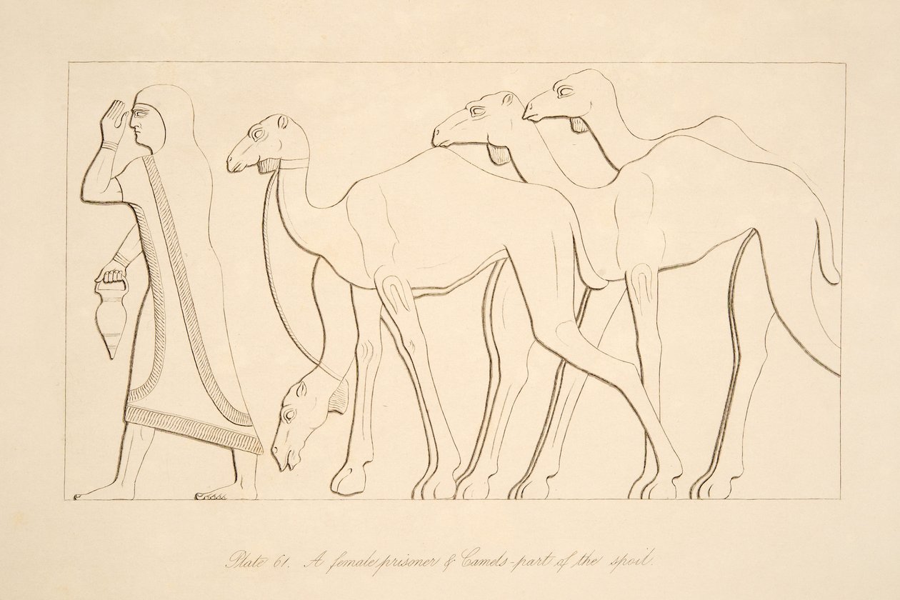 Vězeň a velbloud, ilustrace z Monuments of Niniveh, 1849 od Austen Henry Layard