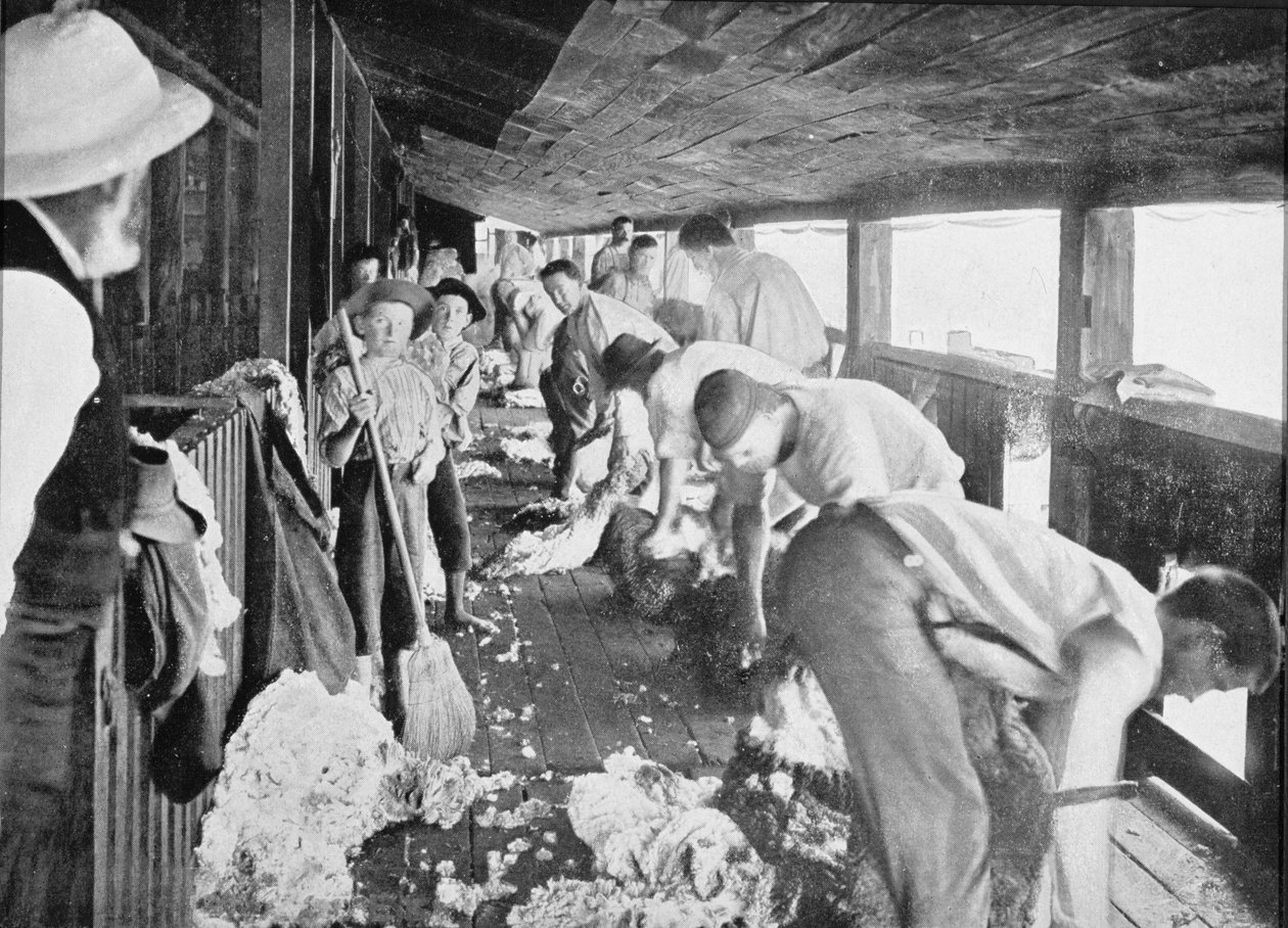 Sheep Shearing Shed, Queensland, cca 1900, z knihy "Under the Southern Cross - Glimpses of Australia", vydané v roce 1908. od Australian Photographer