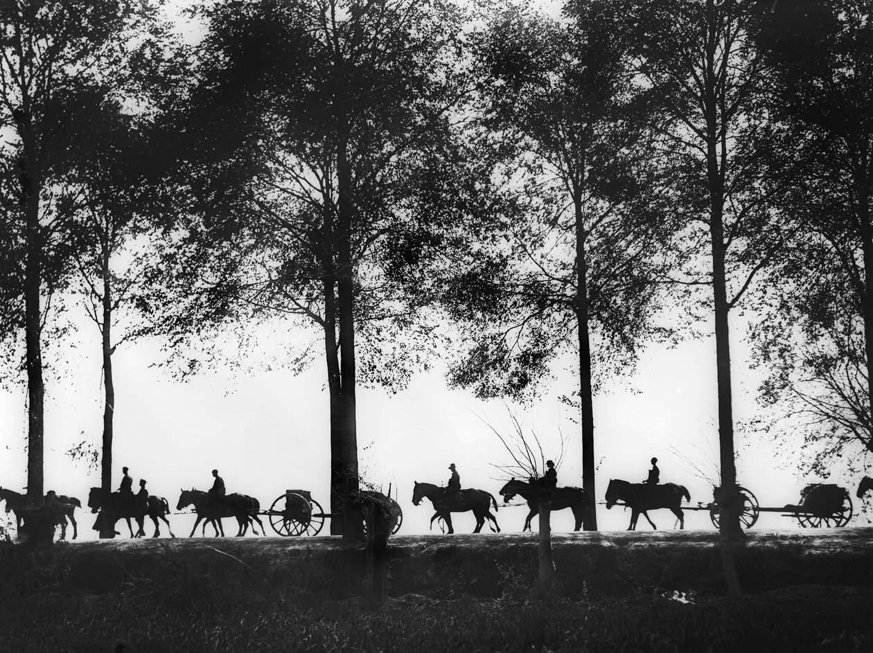 Silueta pohledu na australské dělostřelecké stroje naložené municí postupující podél Ypres Road, 25. září 1917 od Australian Photographer