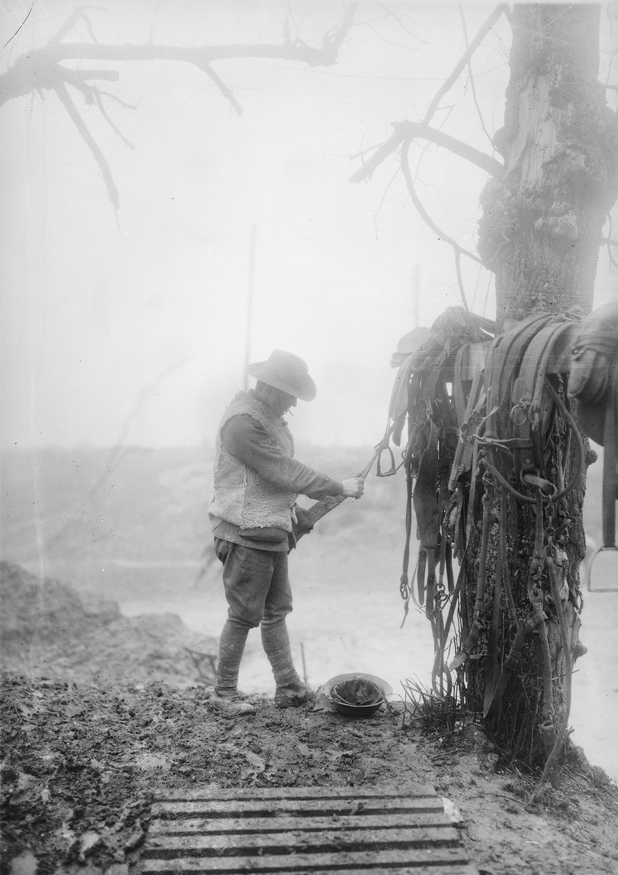 Neznámý australský dělostřelecký řidič čistil bláto z postrojů svých týmů v ubytovně poblíž Mametz, prosinec 1916 od Australian Photographer