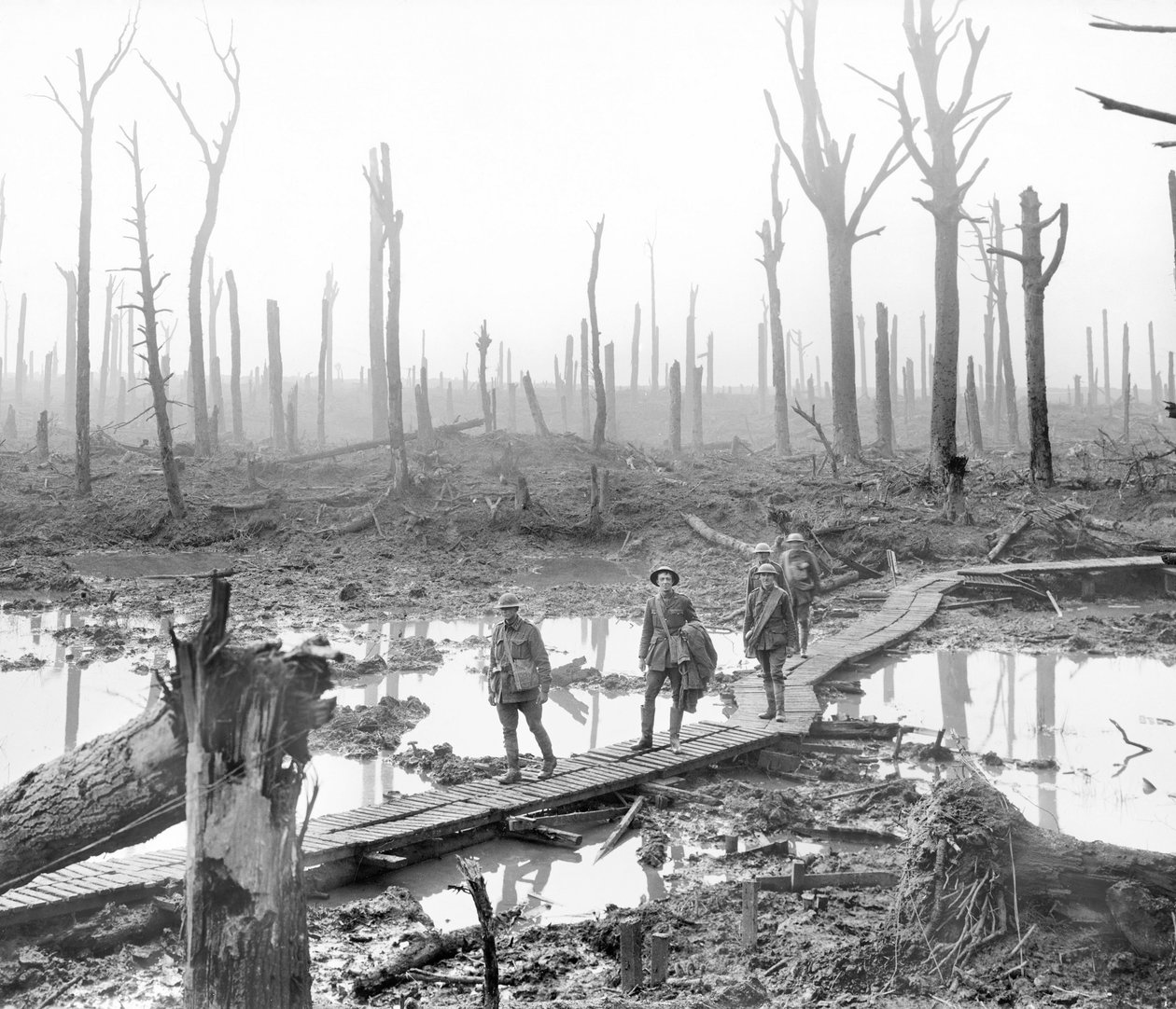 Pět Australanů, členů brigády polního dělostřelectva, proplouvajících po dráze přes bahno a vodu mezi vychrtlými holými kmeny stromů ve zdevastovaném zámeckém lese, části jedné z bojových skupin. od Australian Photographer