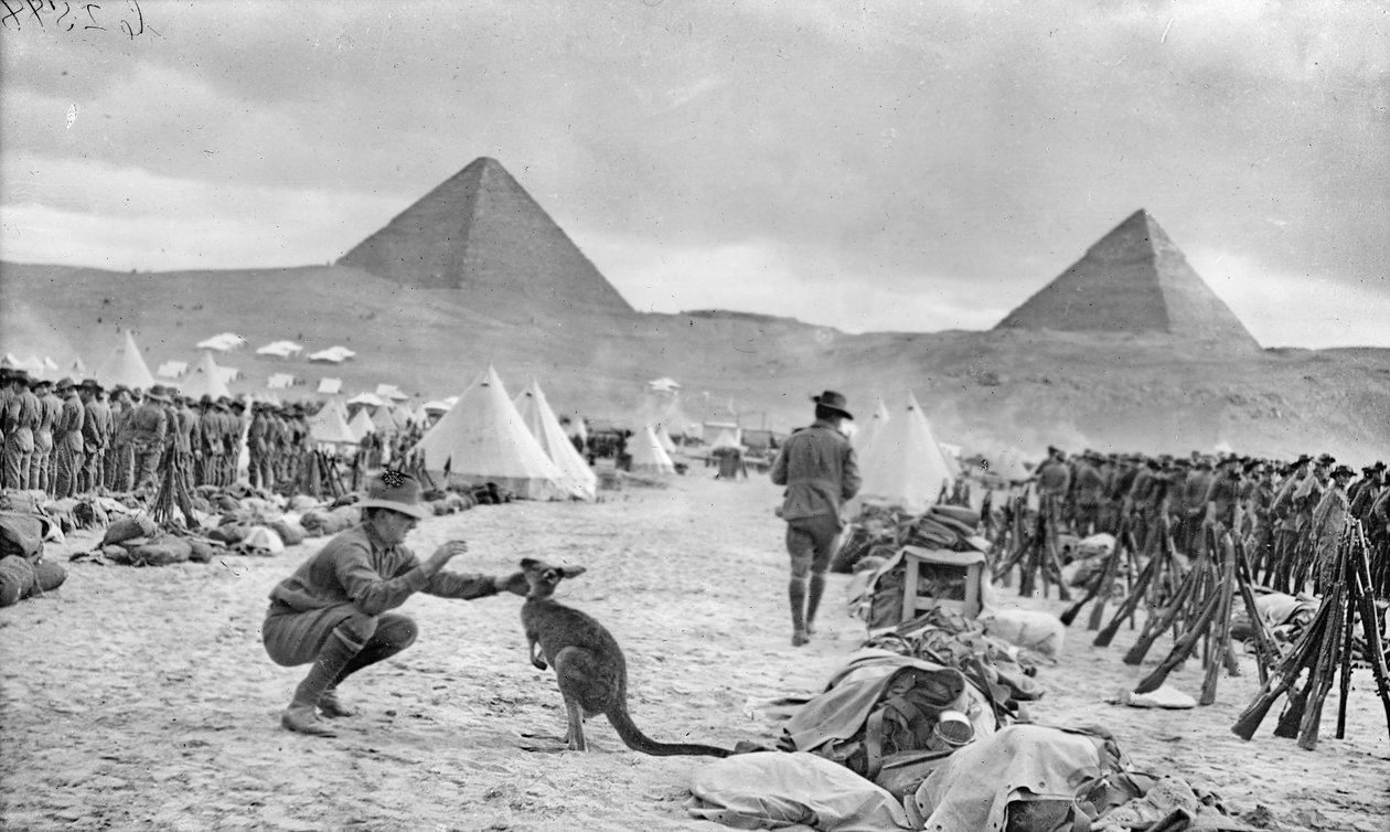 Linie australského 9. a 10. praporu v táboře Mena, při pohledu k pyramidám, prosinec 1914 od Australian Photographer