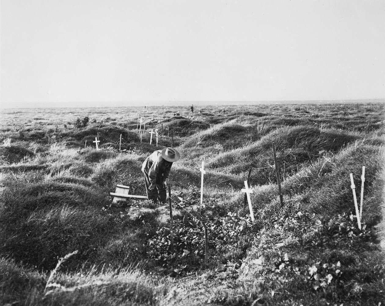 Pohled na roztroušené australské hroby podél linie OG1 na bitevním poli Pozieres, 16. září 1917 od Australian Photographer