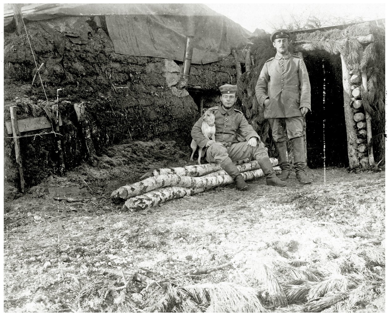 Rakouští vojáci se psem, 1914-18 od Austrian Photographer