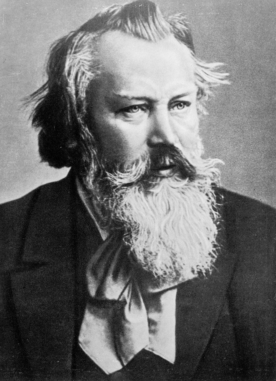 Johannes Brahms, 1879 od Austrian Photographer