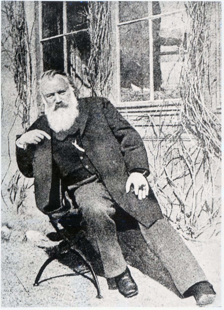 Johannes Brahms, kolem roku 1897 od Austrian Photographer