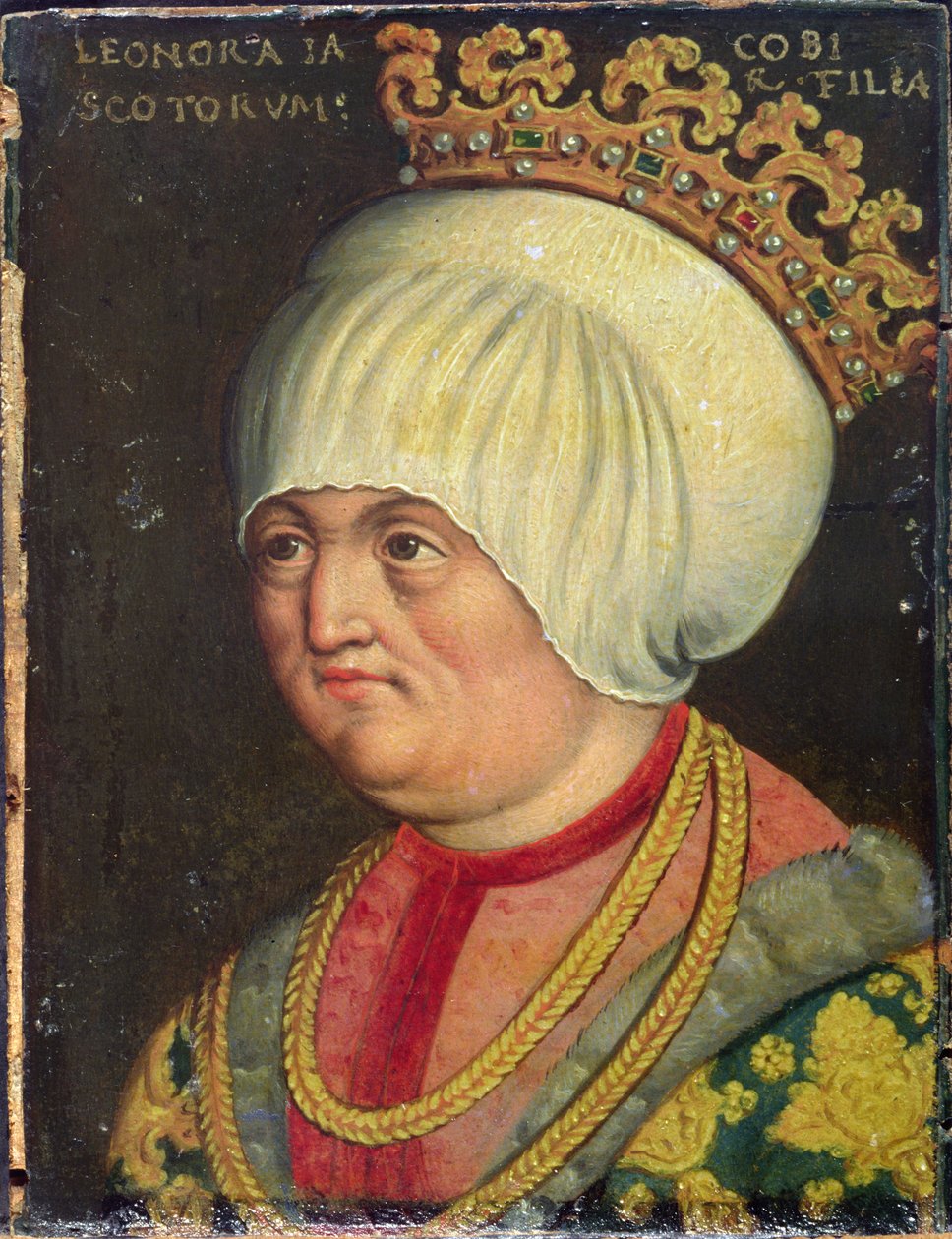 Eleanor Stewart (1458-80), dcera Jakuba II. Skotského (1437-60), 1578-80 (olej na papíře) od Austrian School