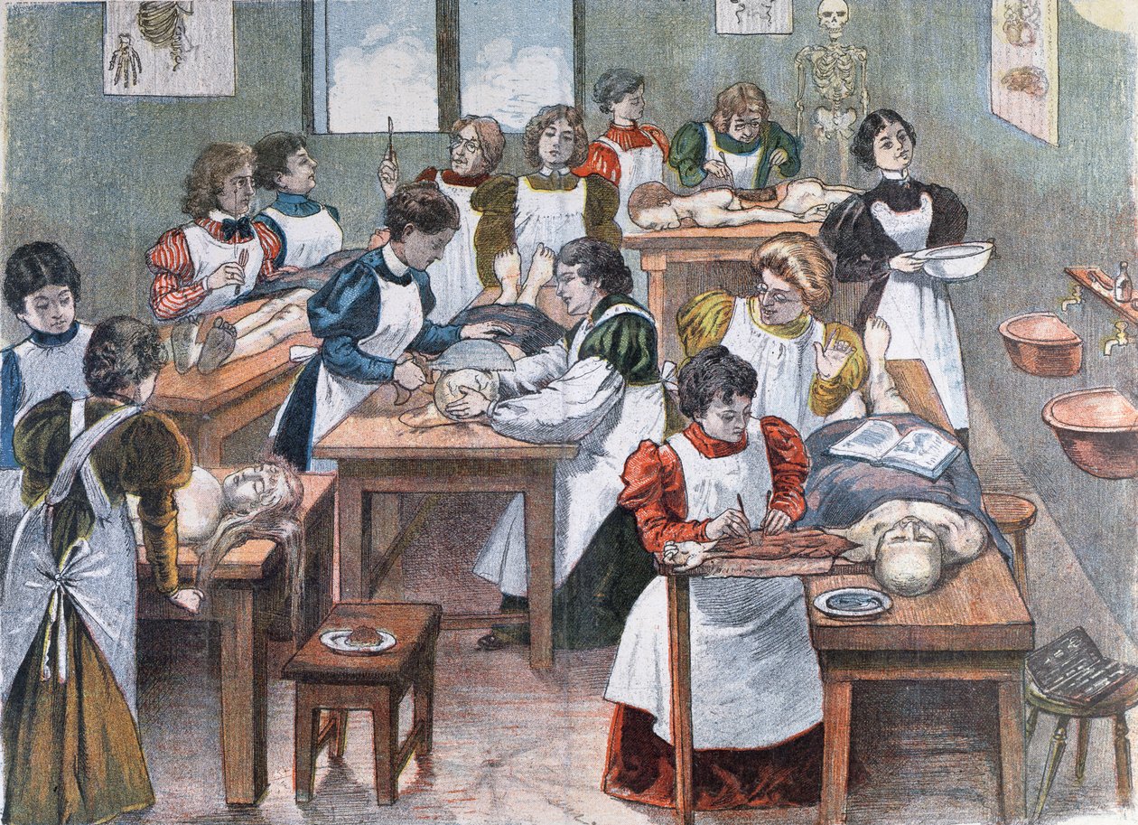 Studentky v Anatomickém institutu v New Yorku, 1897 od Austrian School