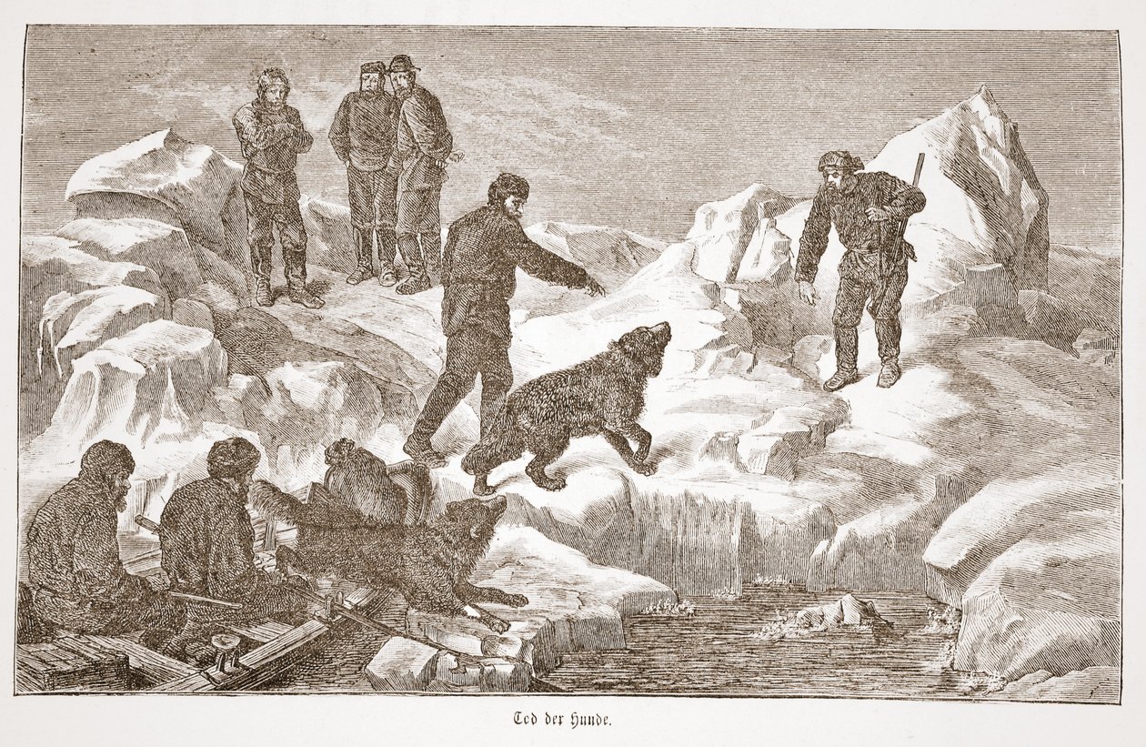 Lov se psy, 1876 od Austrian School