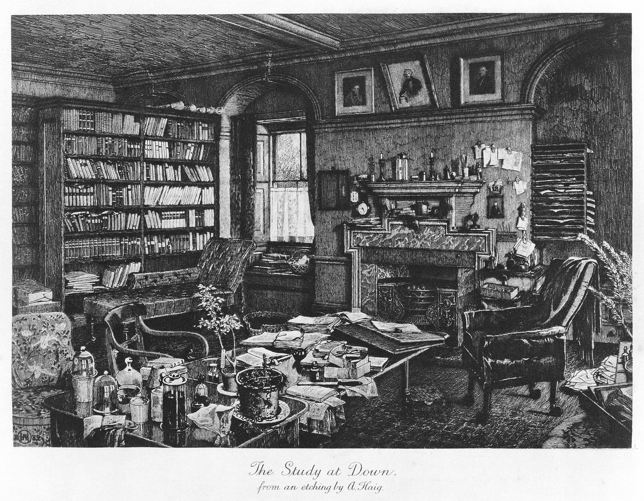 The Study at Down, pub. 1882 (rytina) od Axel (after) Haig