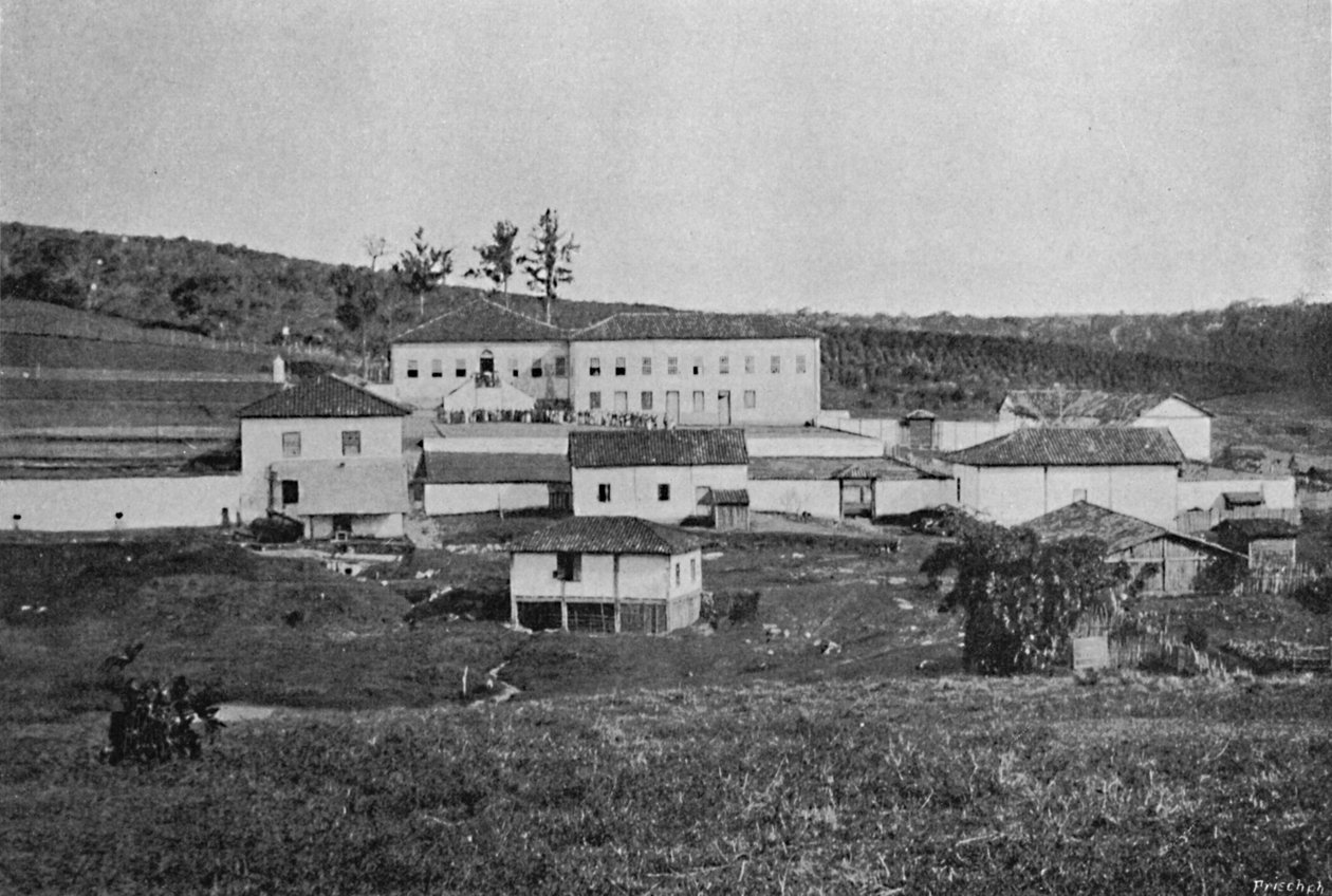 Farma Sete Quedas Campinas, Farma Sete Quedas, 1895 od Axel Frick