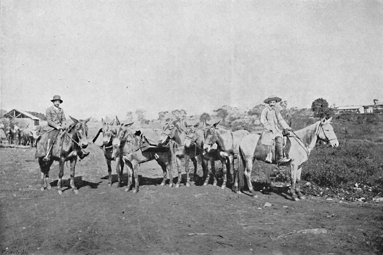 Obchodníci s vnitřkem, Obchodníci s vnitřkem, 1895 od Axel Frick