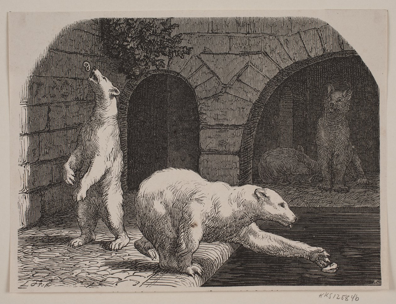 Medvědi v Jardin des Plantes od Axel Theodor Kittendorff