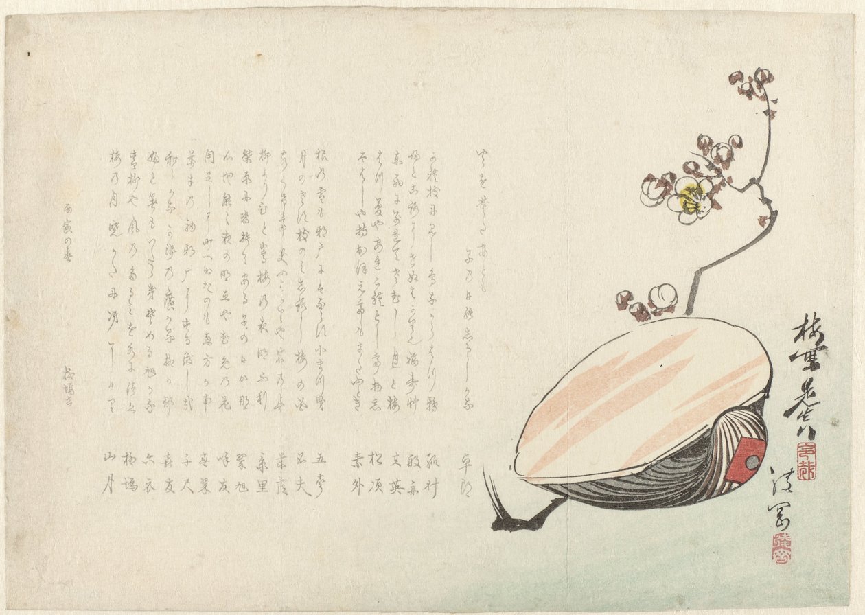 Shell od Ayaoka Yûshin